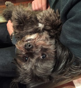 Bonnie har sneket seg til oppmerksomhet.