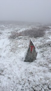 Fil 09.11.2015, 16.14.48